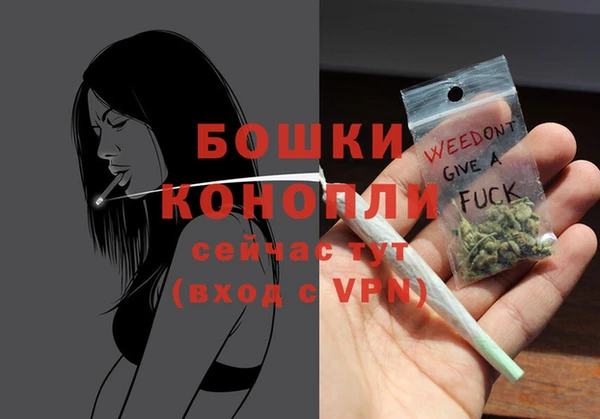 молекула духа Карпинск