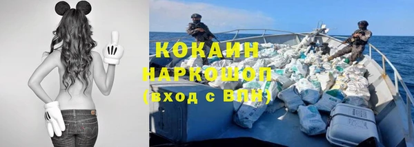молекула духа Карпинск