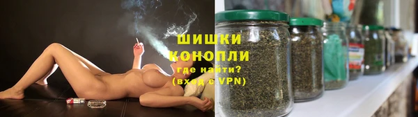 молекула духа Карпинск