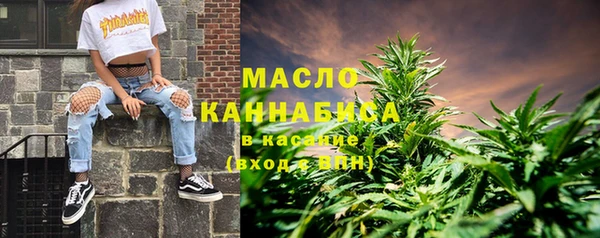 молекула духа Карпинск