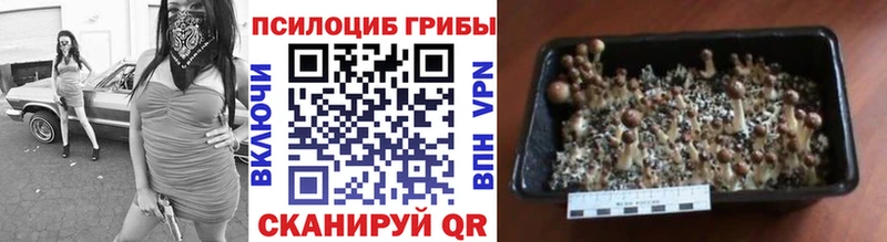 mega ссылка  darknet Telegram  Псилоцибиновые грибы Psilocybe  Каменск-Уральский 