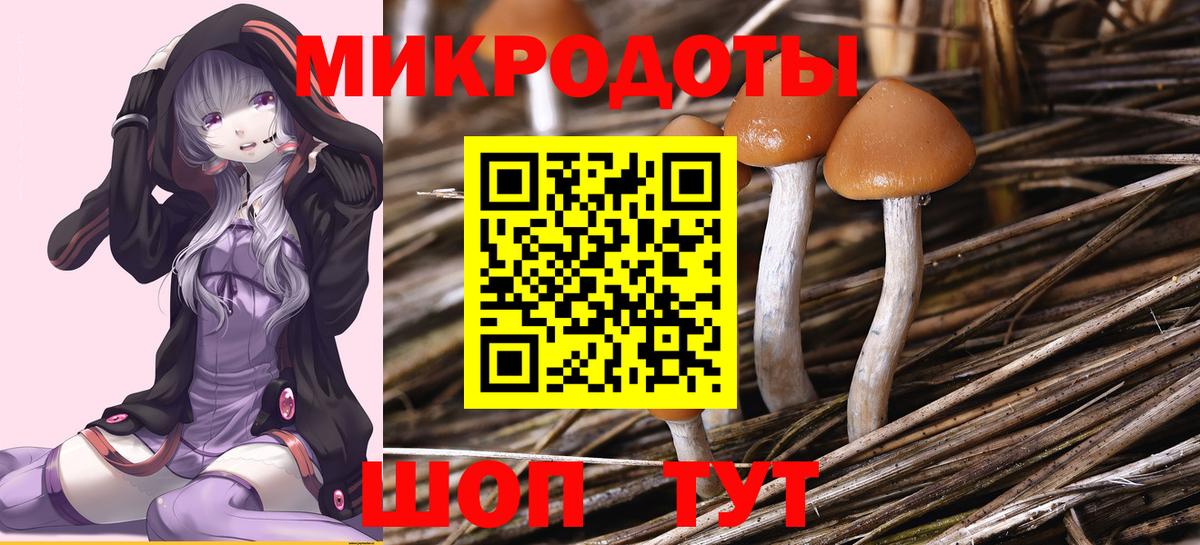 Псилоцибиновые грибы GOLDEN TEACHER  Псилоцибиновые грибы мицелий  Каменск-Уральский 