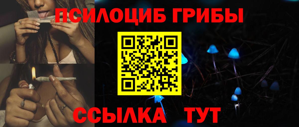 Галлюциногенные грибы Psilocybe Каменск-Уральский
